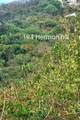 194 Hermon Hill Co - Photo 5