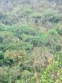 194 Hermon Hill Co - Photo 7