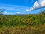 34 St. George Pr - Photo 1