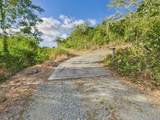 34 St. George Pr - Photo 7