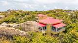 Block 4738 Virgin Gorda Central - Photo 50