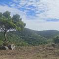 117 Cotton Valley Eb - Photo 4