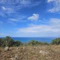 117 Cotton Valley Eb - Photo 5