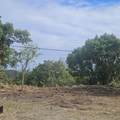 117 Cotton Valley Eb - Photo 9