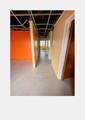 14 Contant Ss - Photo 5