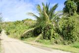 10-C Rattan Qu - Photo 10
