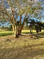 77 Enfield Green Pr - Photo 13