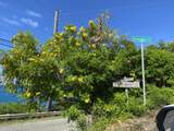 55 North Grapetree Eb - Photo 12