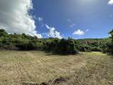 7-B Jolly Hill We - Photo 7