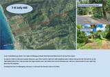 7-B Jolly Hill We - Photo 8
