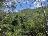 162 Cotton Valley Eb - Photo 1