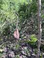 162 Cotton Valley Eb - Photo 4