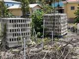 679 Barren Spot Qu - Photo 8