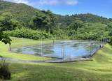 21 River Pr - Photo 24
