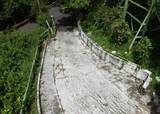 7-4 Lilliendal & Marienhoj Lns - Photo 34