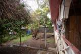 319 Whim We - Photo 49