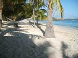 432 Teagues Bay Eb - Photo 47
