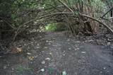 11 Shoys (The) Ea - Photo 6