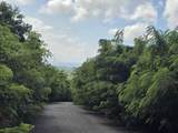 164 Bugby Hole Co - Photo 6