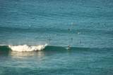 7CA Hull Lns - Photo 78