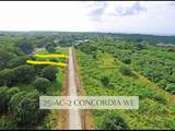 75AC 2 Concordia We - Photo 9