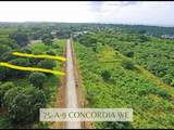 75-A-9 Concordia We - Photo 13