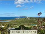 116 Mt. Pleasant Ea - Photo 1