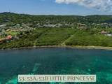 53,53A,53B Little Princesse Co - Photo 1