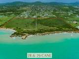 78, 79 etc Cane Pr - Photo 1