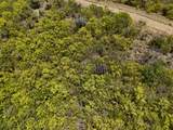 60 South Grapetree Eb - Photo 13