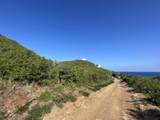 60 South Grapetree Eb - Photo 8
