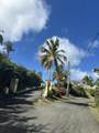 19 Teagues Bay Eb - Photo 22