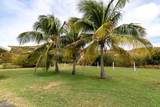 3 South Grapetree Eb - Photo 9