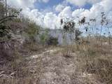 138 & 139 V.I. Corp Lands Pr - Photo 4