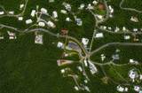 1CA-2 Wintberg Gns - Photo 14