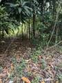 23 Orange Grove We - Photo 1