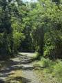 23 Orange Grove We - Photo 4