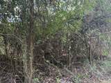 23 Orange Grove We - Photo 6