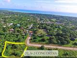 75-A-2 Concordia We - Photo 1