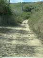 3-3 St. John Qu - Photo 2