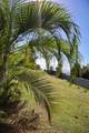 24C&24D Mafolie Gns - Photo 60