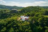 6 Orange Grove We - Photo 31