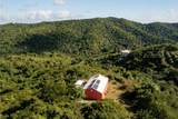 6 Orange Grove We - Photo 34