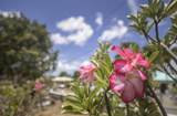 655 Strawberry Hill Qu - Photo 5