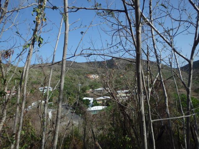 136 Eliza's Retreat Ea - Photo 1