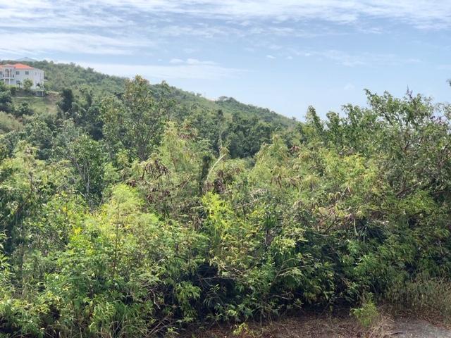 77 Bugby Hole Co - Photo 1