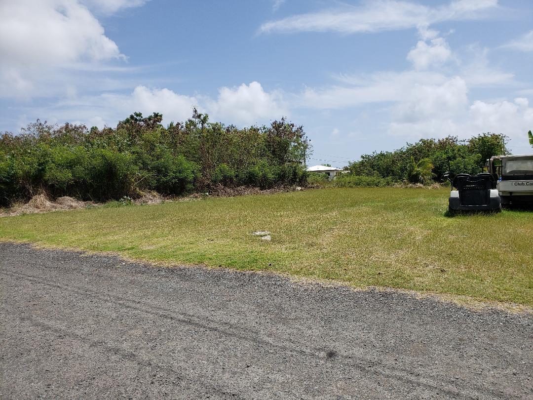 342 Strawberry Hill Ki - Photo 1