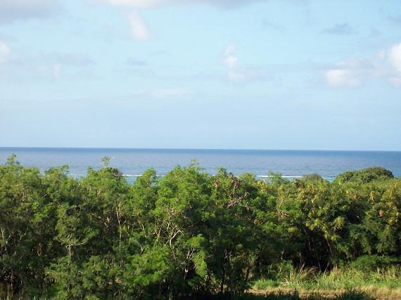 25 St. Peter Ea - Photo 1