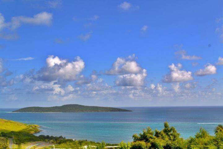 8C Teagues Bay Eb - Photo 1