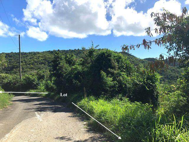 44 Orange Grove We - Photo 1